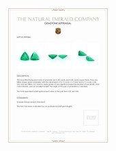 0.86 Ct.Tw.Total Carat Weight Emerald Pair from Colombia Appraisal