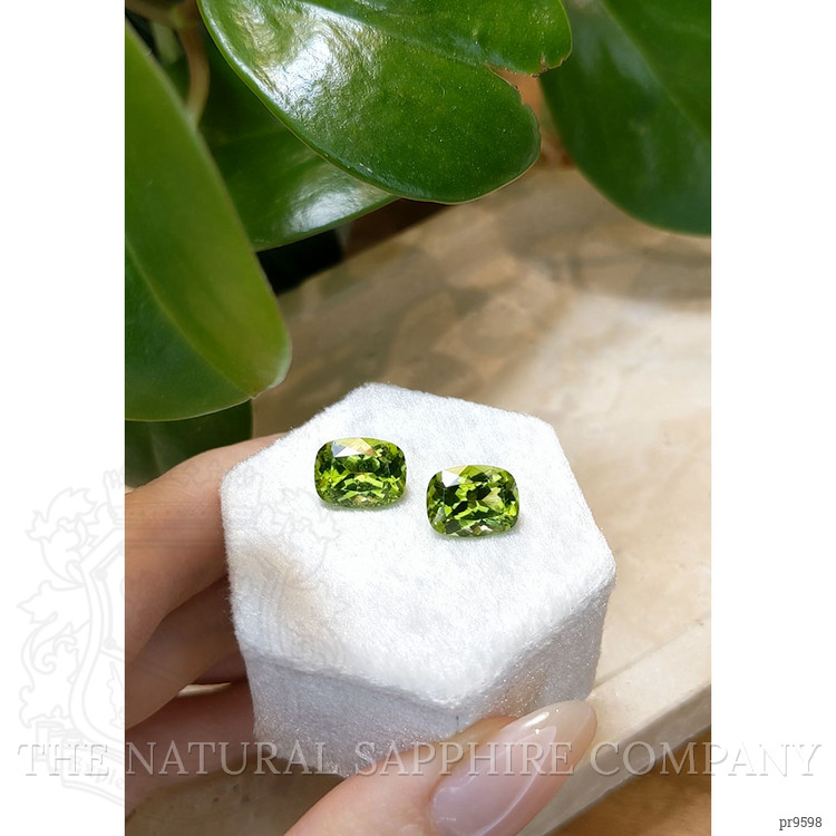 8.00 Ct.Tw. Peridot Pair from Burma (Myanmar)