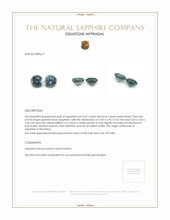 1.31 Ct.Tw.Total Carat Weight Greenish Blue Sapphire Pair from Montana Appraisal