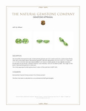 0.48 Ct.Tw.Total Carat Weight Green Demantoid Garnet Pair from Madagascar Appraisal