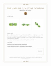 0.48 Ct.Tw.Total Carat Weight Demantoid Garnet Pair from Namibia Appraisal