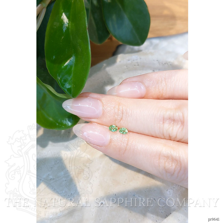 0.48 Ct.Tw. Demantoid Garnet Pair