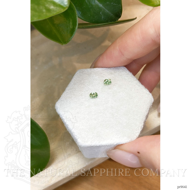 0.48 Ct.Tw. Demantoid Garnet Pair