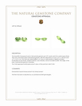 0.65 Ct.Tw.Total Carat Weight Demantoid Garnet Pair from Namibia Appraisal