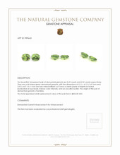 0.96 Ct.Tw.Total Carat Weight Green Demantoid Garnet Pair from Namibia Appraisal