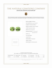0.96 Ct.Tw.Total Carat Weight Green Demantoid Garnet Pair from Namibia Scan Report