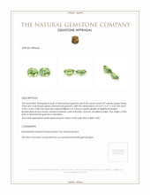 0.67 Ct.Tw.Total Carat Weight Demantoid Garnet Pair from Namibia Appraisal