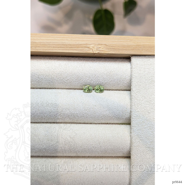 0.67 Ct.Tw. Demantoid Garnet Pair