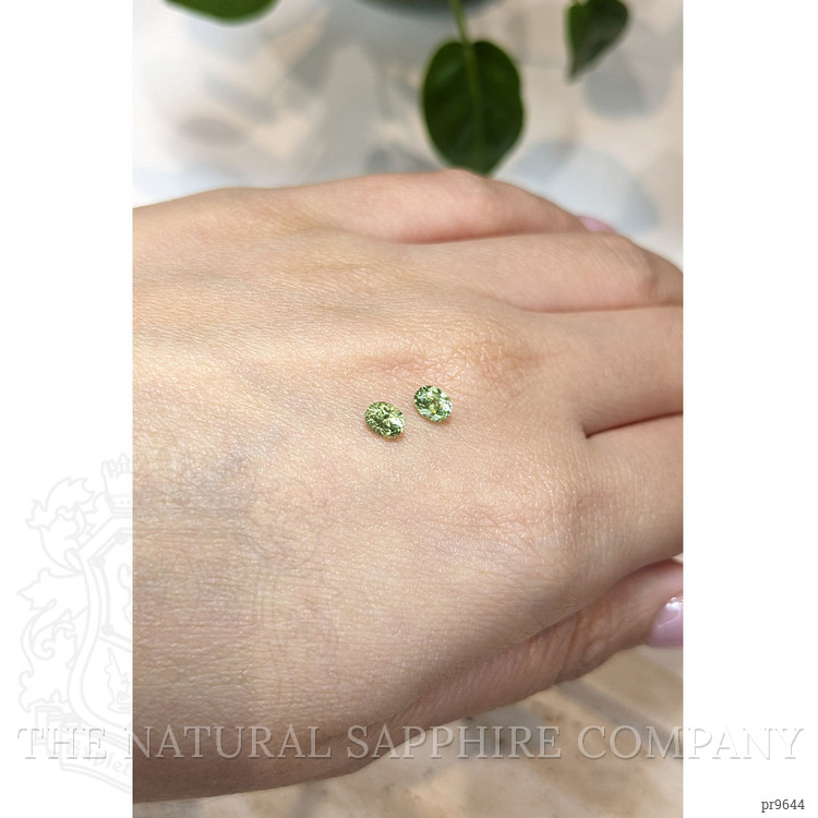 0.67 Ct.Tw. Demantoid Garnet Pair