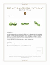 0.83 Ct.Tw.Total Carat Weight Green Demantoid Garnet Pair from Namibia Appraisal