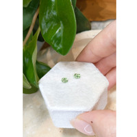 0.83 Ct.Tw.Total Carat Weight Demantoid Garnet Pair from Namibia Life Style