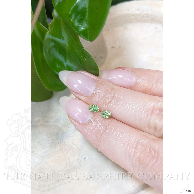 0.83 Ct.Tw. Demantoid Garnet Pair from Namibia