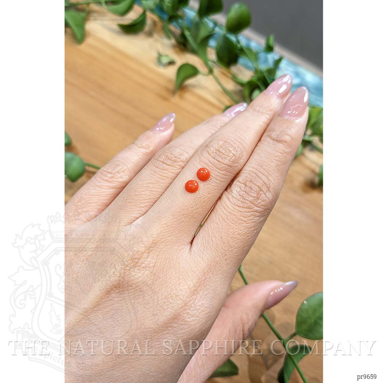 0.54 Ct.Tw. Cabochon Coral Pair from Italy