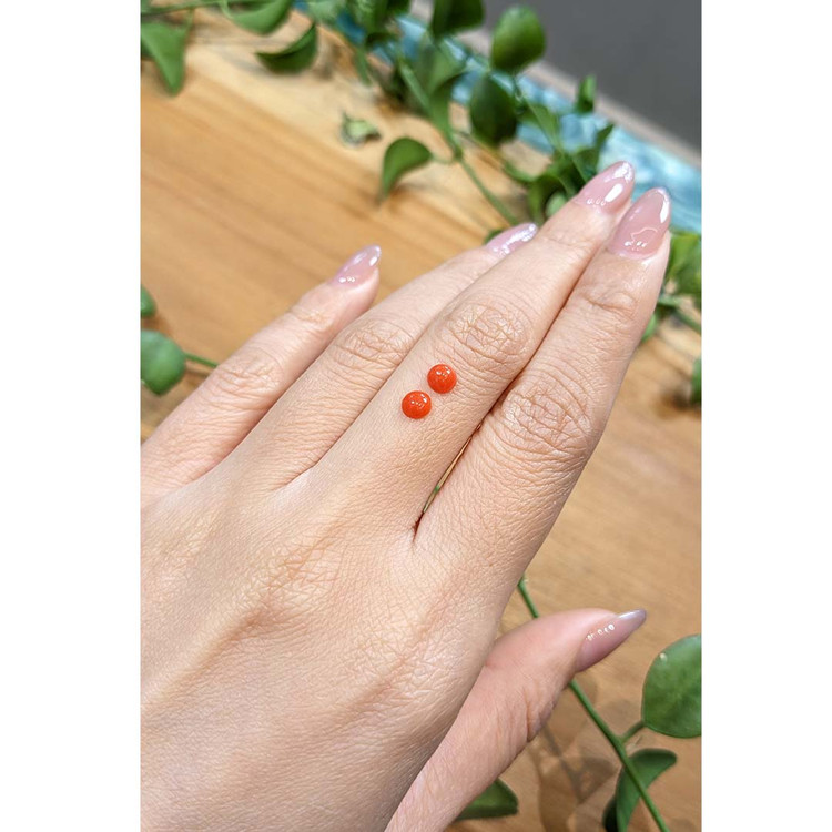 0.54 Ct.Tw. Cabochon Coral Pair from Italy