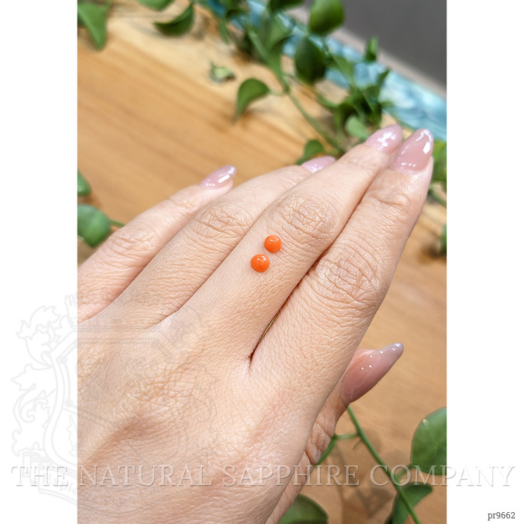 0.42 Ct.Tw. Cabochon Coral Pair from Italy