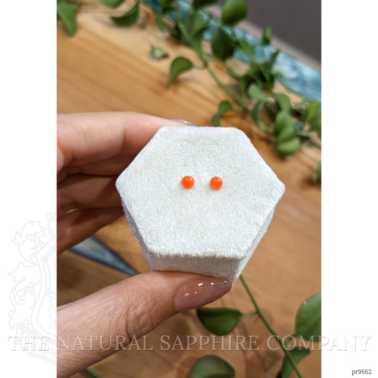 0.42 Ct.Tw. Cabochon Coral Pair from Italy