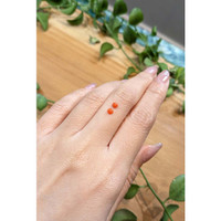 0.31&nbsp;Ct.Tw.Total Carat Weight Cabochon Coral Pair from Italy Life Style