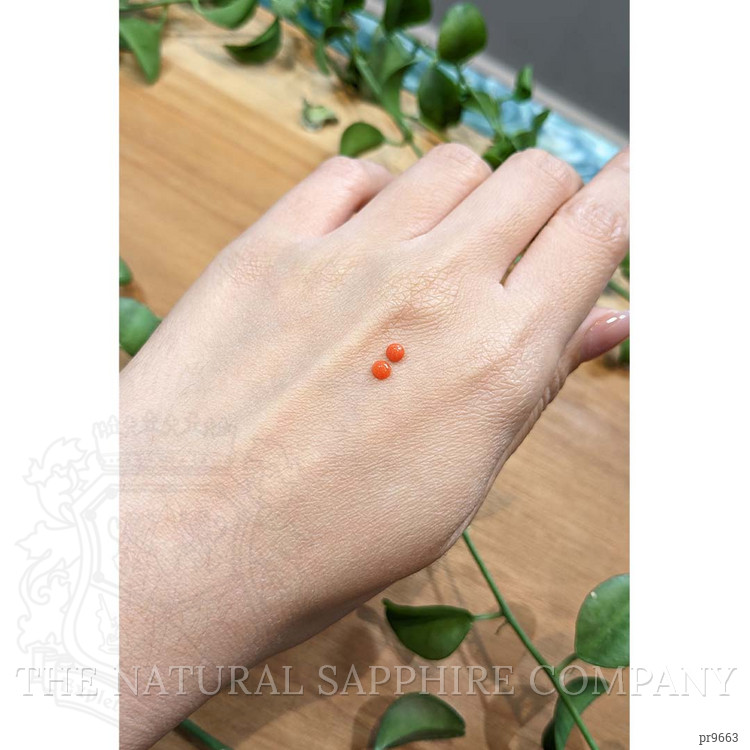 0.31 Ct.Tw. Cabochon Coral Pair from Italy