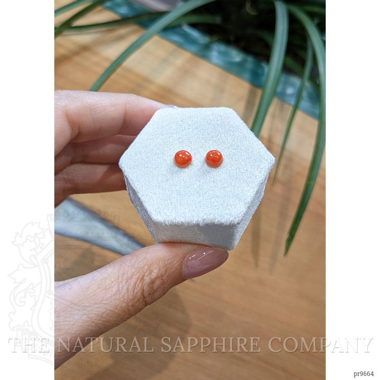 1.50 Ct.Tw. Cabochon Coral Pair from Italy