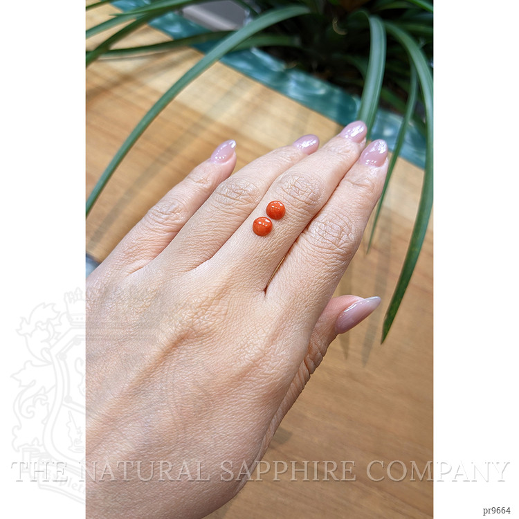 1.50 Ct.Tw. Cabochon Coral Pair from Italy