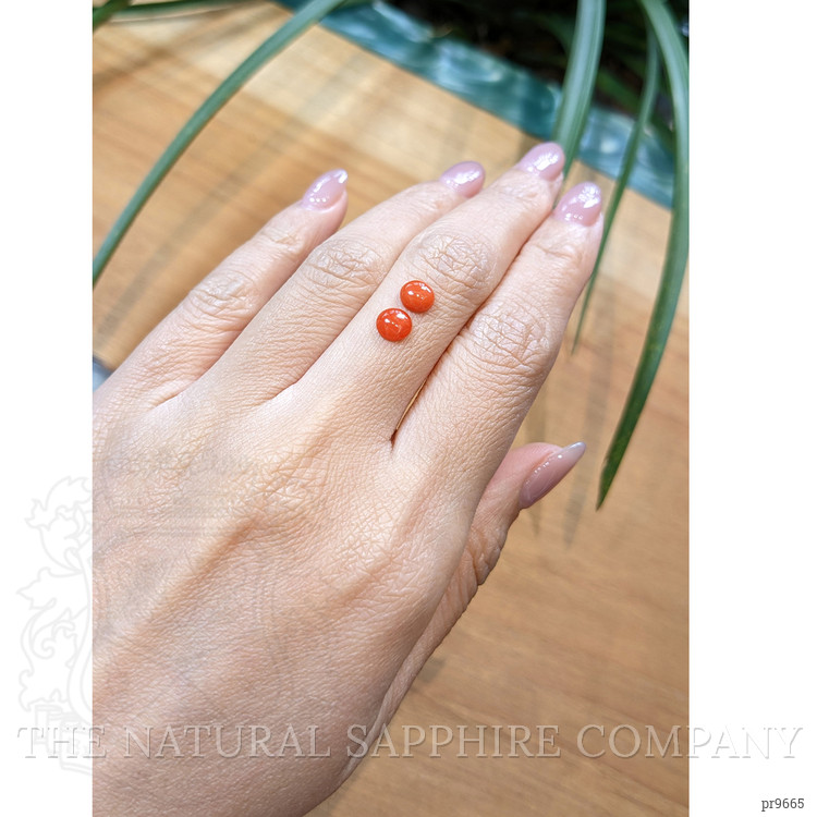 1.10 Ct.Tw. Cabochon Coral Pair from Italy