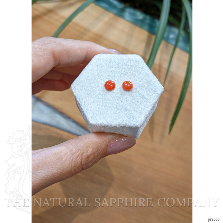 1.10 Ct.Tw. Cabochon Coral Pair from Italy