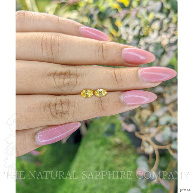1.06 Ct.Tw. Yellow Sapphire Pair from Ceylon (Sri Lanka)