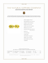 1.07 Ct.Tw.Total Carat Weight Yellow Sapphire Pair from Ceylon (Sri Lanka) Scan Report