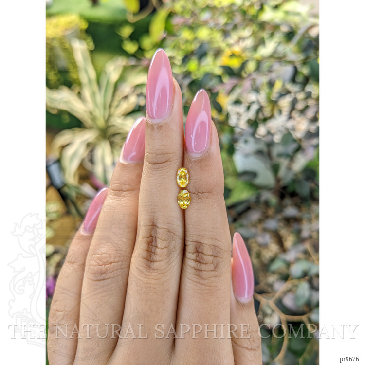 1.00 Ct.Tw. Yellow Sapphire Pair from Ceylon (Sri Lanka)