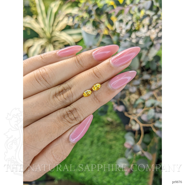 1.00 Ct.Tw. Yellow Sapphire Pair from Ceylon (Sri Lanka)