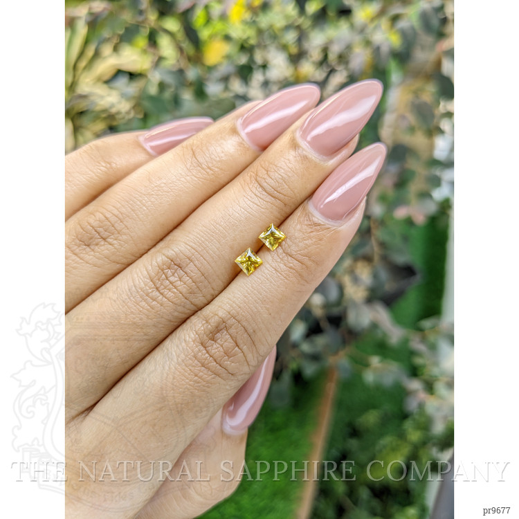 0.92 Ct.Tw. Yellow Sapphire Pair from Ceylon (Sri Lanka)