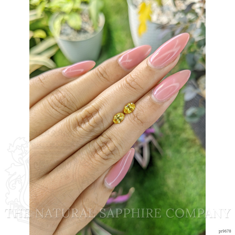 1.19 Ct.Tw. Yellow Sapphire Pair from Ceylon (Sri Lanka)