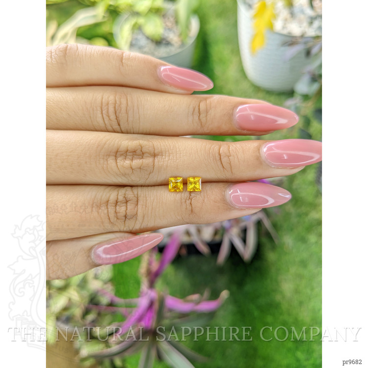 0.97 Ct.Tw. Yellow Sapphire Pair from Ceylon (Sri Lanka)