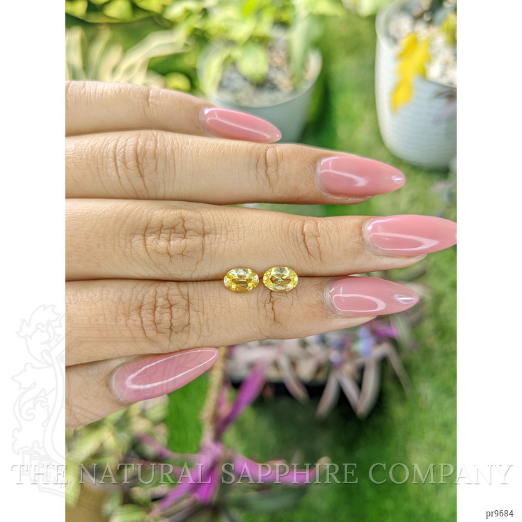 1.68 Ct.Tw. Yellow Sapphire Pair from Ceylon (Sri Lanka)