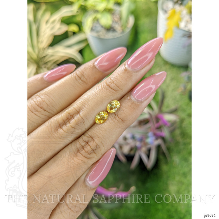 1.68 Ct.Tw. Yellow Sapphire Pair from Ceylon (Sri Lanka)