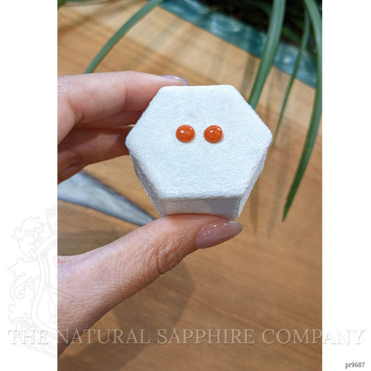 1.62 Ct.Tw. Cabochon Coral Pair from Italy