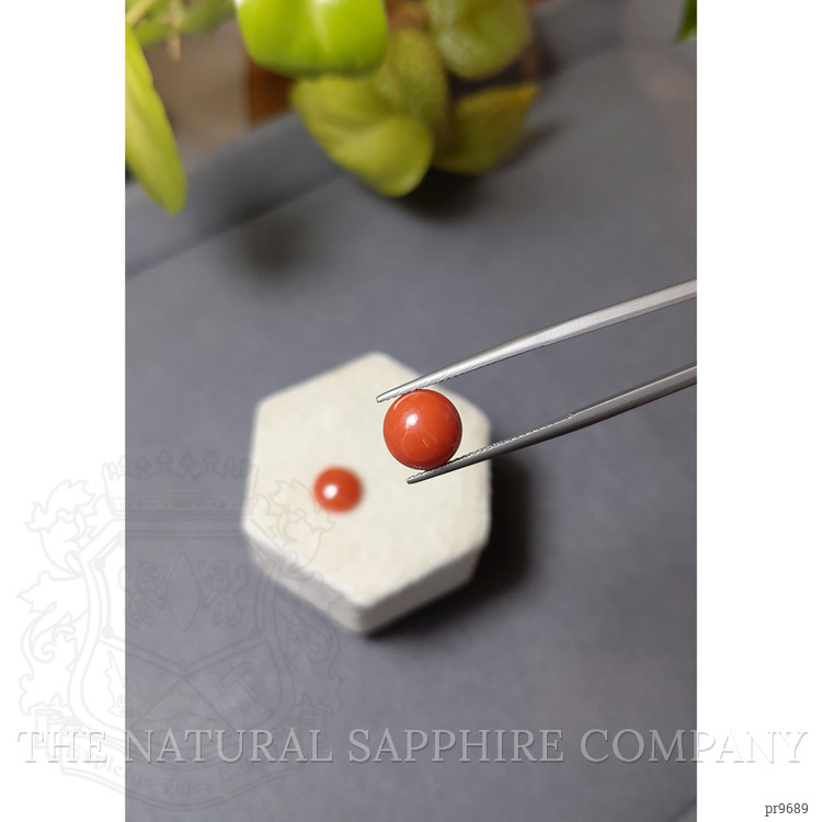 4.49 Ct.Tw. Cabochon Coral Pair from Italy