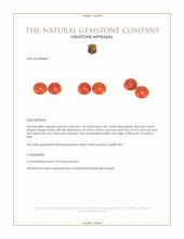 4.96&nbsp;Ct.Tw.Total Carat Weight Cabochon Coral Pair from Italy Appraisal