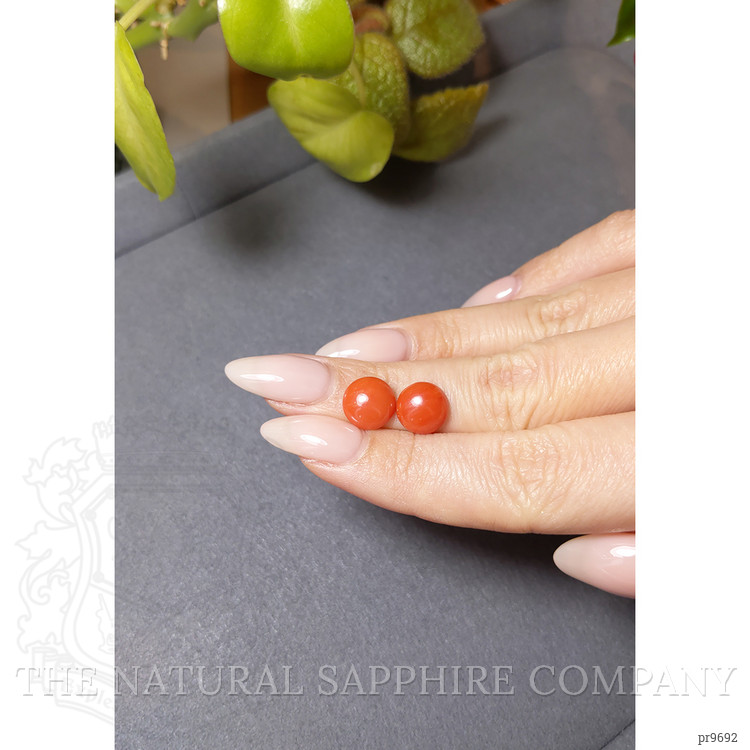 4.96 Ct.Tw. Cabochon Coral Pair from Italy