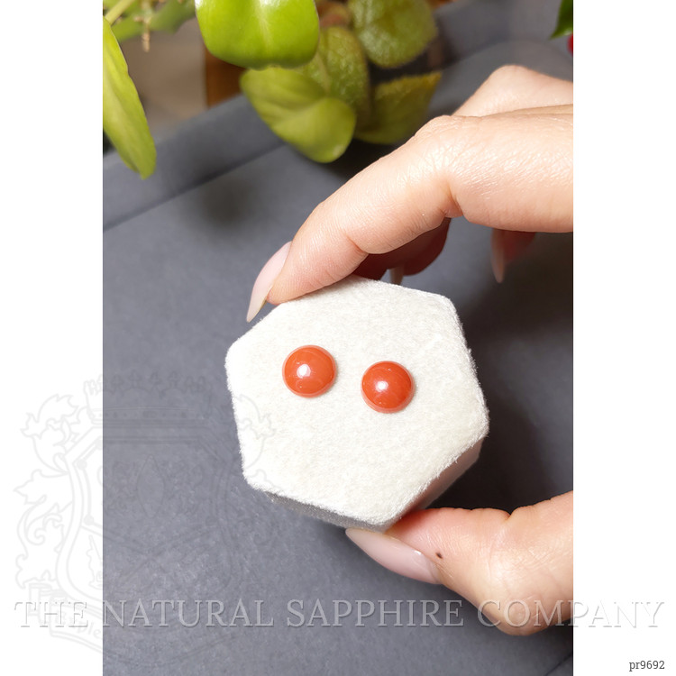 4.96 Ct.Tw. Cabochon Coral Pair from Italy