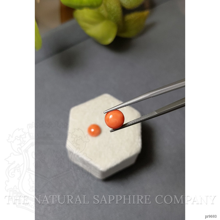 3.83 Ct.Tw. Cabochon Coral Pair from Italy