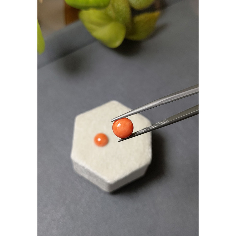 3.83 Ct.Tw. Cabochon Coral Pair from Italy