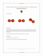 3.15 Ct.Tw.Total Carat Weight Cabochon Coral Pair from Italy Appraisal