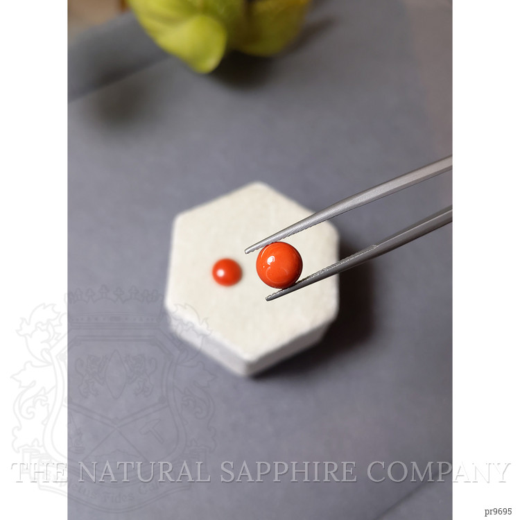 3.15 Ct.Tw. Cabochon Coral Pair from Italy