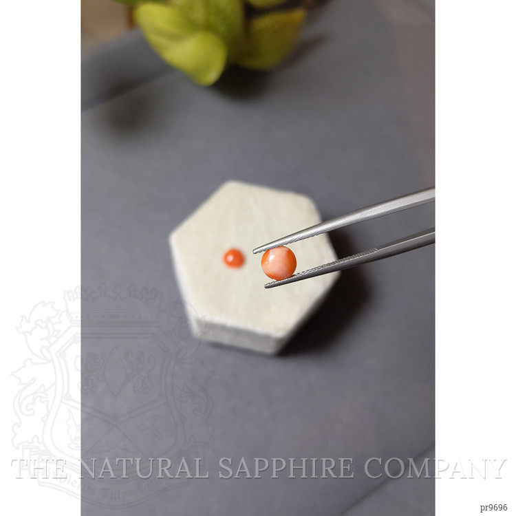 1.07 Ct.Tw. Cabochon Coral Pair from Italy