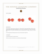 1.62&nbsp;Ct.Tw.Total Carat Weight Cabochon Coral Pair from Italy Appraisal