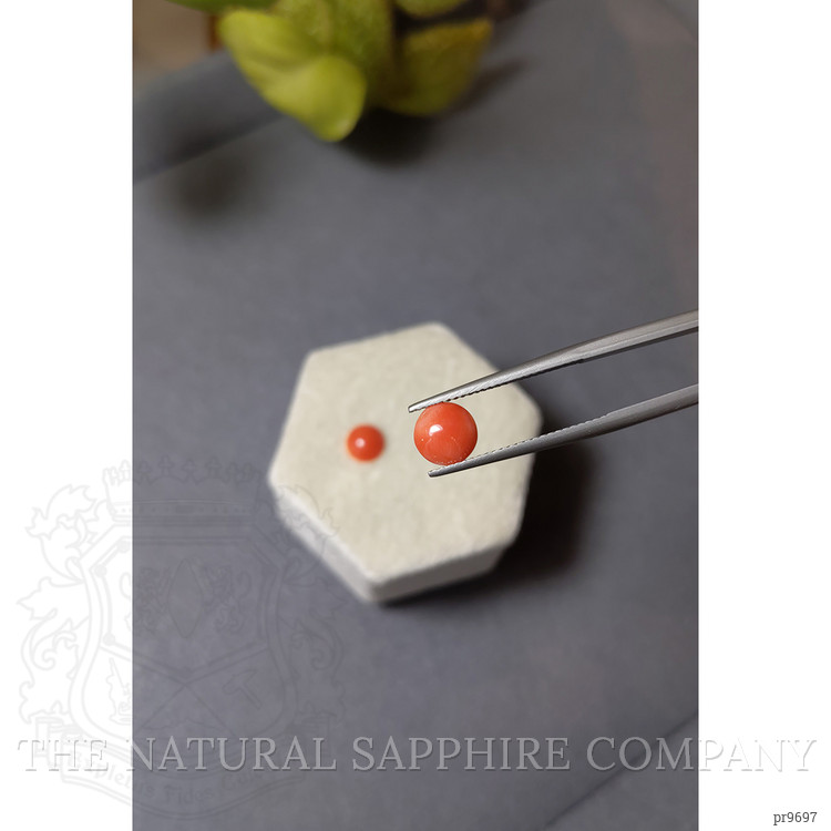 1.62 Ct.Tw. Cabochon Coral Pair from Italy