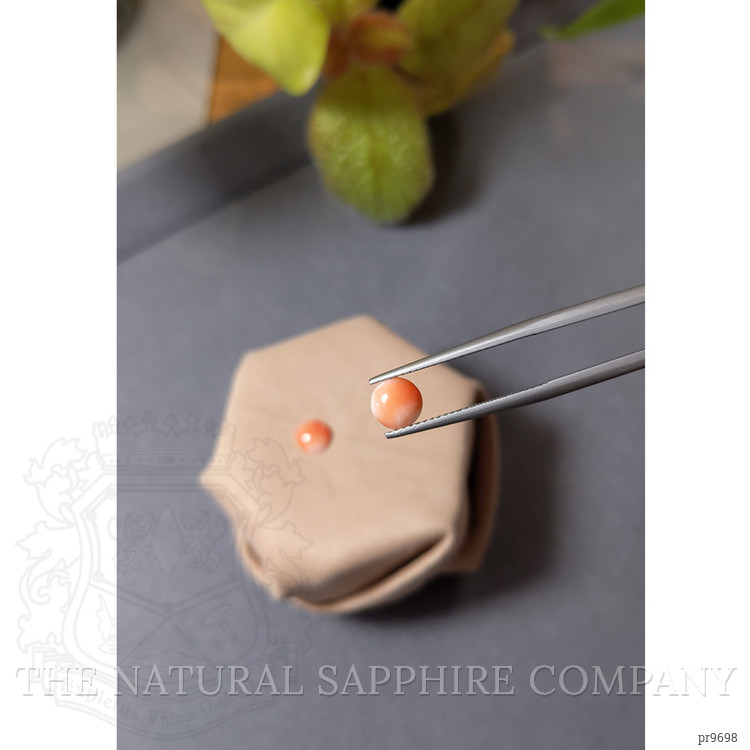 1.13 Ct.Tw. Cabochon Coral Pair from Italy