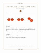 1.16 Ct.Tw.Total Carat Weight Cabochon Coral Pair from Italy Appraisal