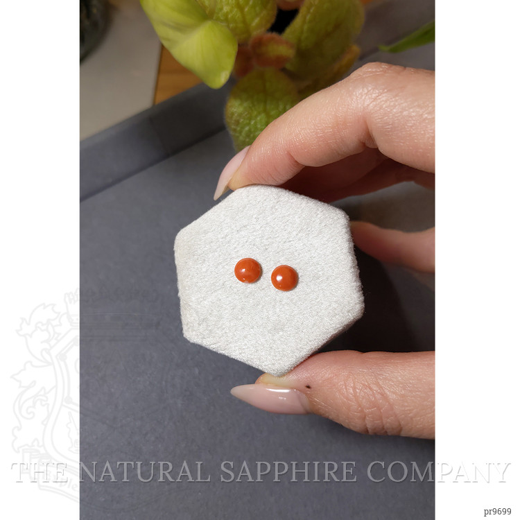 1.16 Ct.Tw. Cabochon Coral Pair from Italy